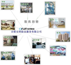 創衛創建類